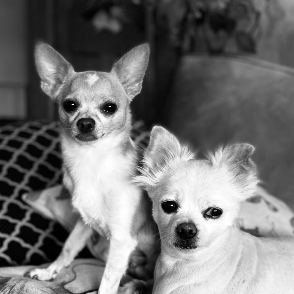 Meet your Posher, Megan